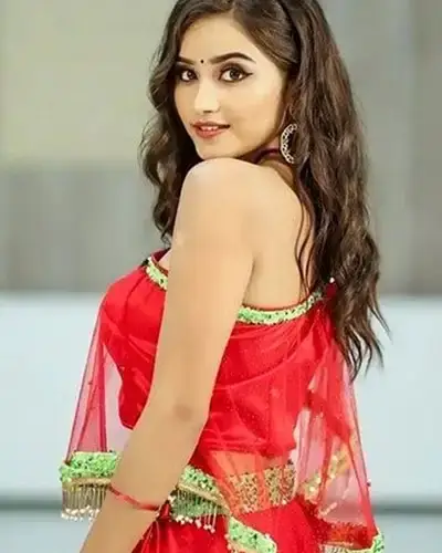 Call Girls Service Warora